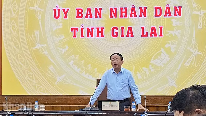 ndo_bl_a3.jpg