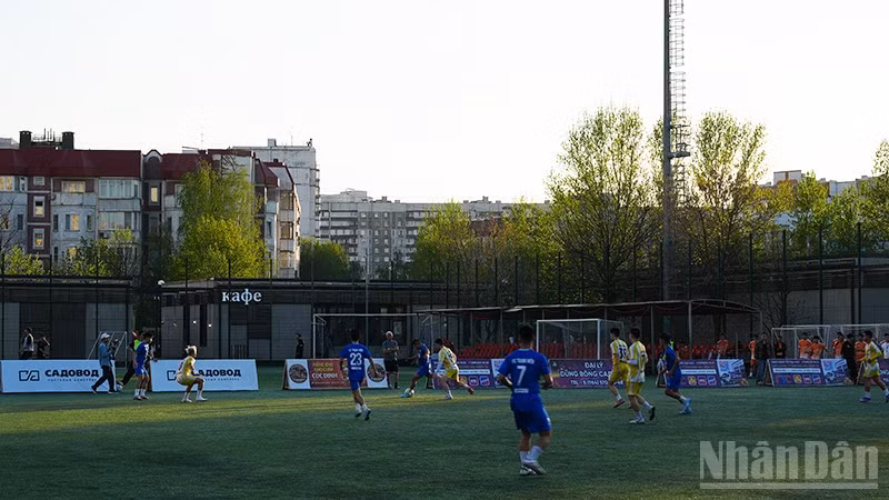 ndo_br_dsc02342.jpg