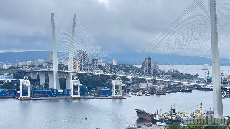 ndo_br_a5555.jpg