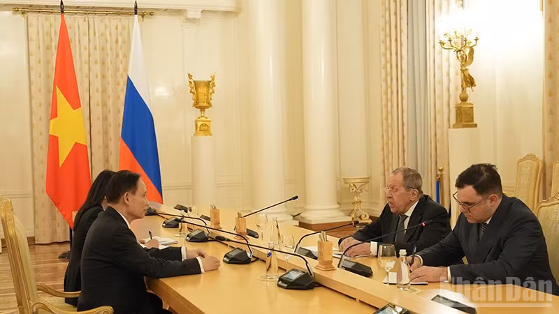 ndo_br_hoi-dam-lavrov-3.jpg
