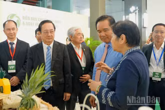 Các đại biểu tham dự Diễn đàn.
