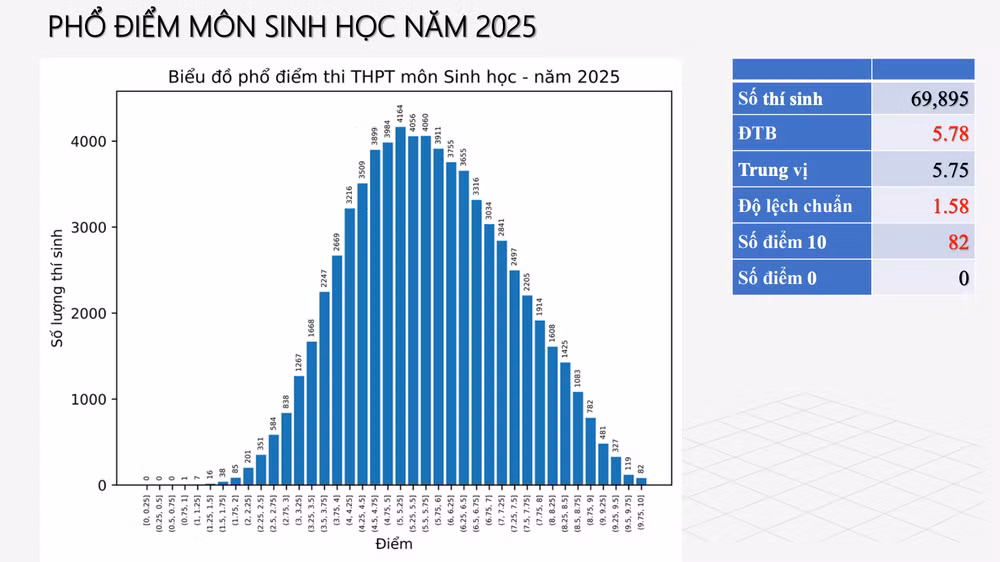 screen-shot-2025-07-15-at-35223-pm.png