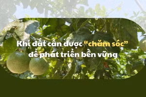 Khi đất cần được “chăm sóc” để phát triển bền vững