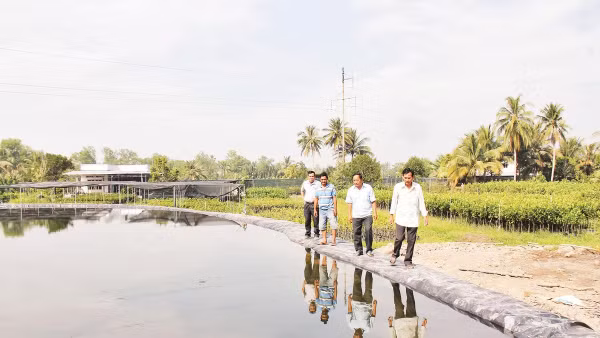 Người dân xã Vĩnh Thành chủ động trữ nước ngọt phục vụ sản xuất, sinh hoạt.