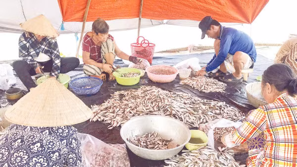 Nguồn thủy sản dồi dào trong mùa nước nổi giúp người dân có thêm thu nhập.