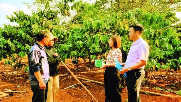 Nhờ vốn vay từ Ngân hàng Chính sách xã hội, nhiều hộ gia đình ở Ia Boòng đã từng bước vươn lên thoát nghèo.