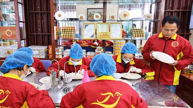 Ảnh minh họa: Một cơ sở sản xuất tư nhân (sản xuất sản phẩm Yến sào) ở tỉnh Nam Định.