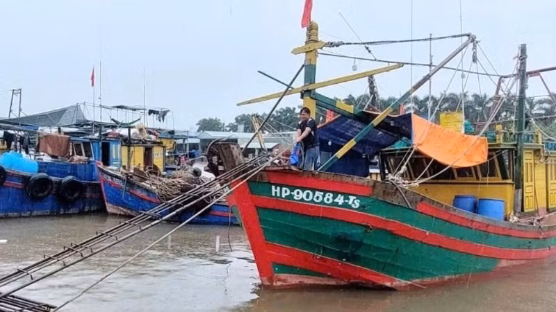 Ngư dân Hải Phòng neo đậu tàu thuyền, chủ động phòng tránh bão số 11.