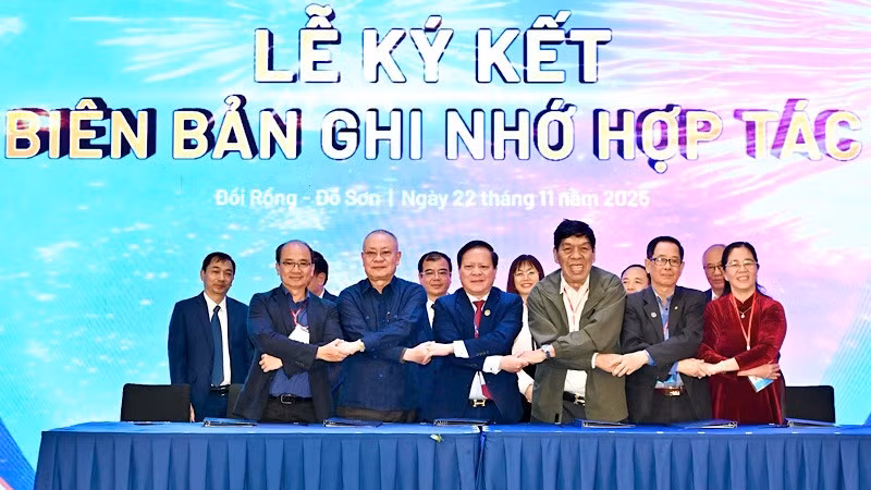 xtdl2.jpg