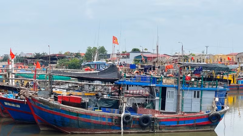 Ảnh minh họa: Tàu cá ở phường Đồ Sơn (Hải Phòng) neo đậu tại cảng.