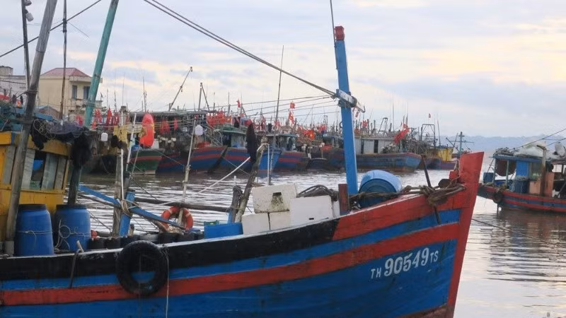 Ảnh minh họa: Cảng cá Ngọc Hải (Đồ Sơn, Hải Phòng).