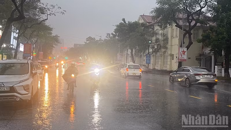 Thành phố Hải Phòng hiện có mưa to trên diện rộng. (Ảnh: XUÂN TRƯỜNG)