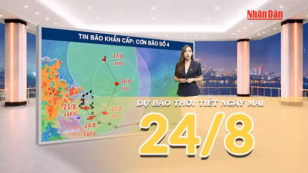 [Video] Dự báo thời tiết đêm nay và ngày mai 24/8/2026: Bão số 4 di chuyển chậm với cường độ mạnh, Đông Bắc Bộ mưa to, gió lớn