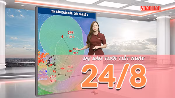 [Video] Dự báo thời tiết 24/8/2026: Bão số 4 gây mưa lớn ở Đông Bắc Bộ, đề phòng lũ quét, sạt lở đất và gió giật mạnh