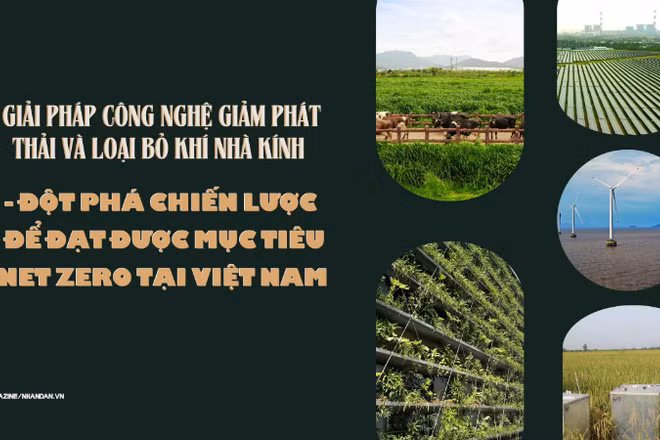 Giải pháp công nghệ giảm phát thải và loại bỏ khí nhà kính - Đột phá chiến lược để đạt được mục tiêu Net Zero 