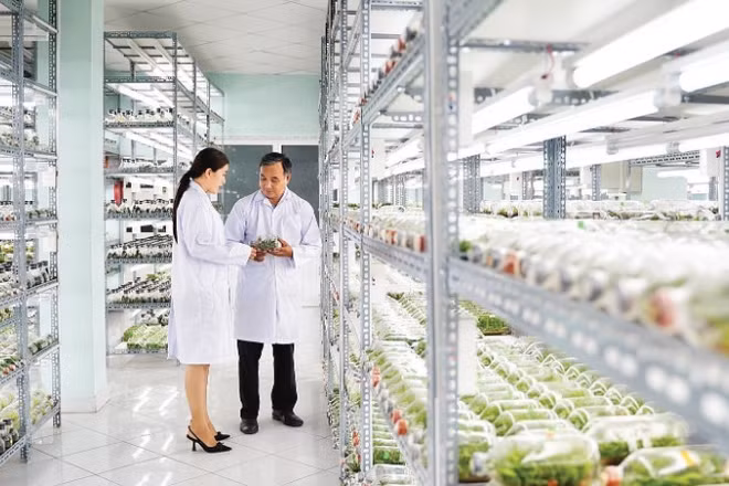 Phòng nuôi cấy mô cây giống, Khu Nông nghiệp công nghệ cao Thành phố Hồ Chí Minh. Ảnh: Khánh Trình