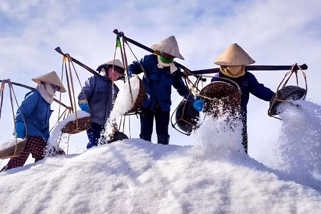 Diêm dân Hòn Khói thu hoạch muối.