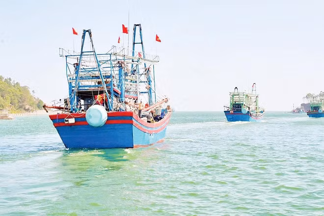 Tỉnh Nghệ An hiện có 3.544 tàu cá, với hơn 11.000 lao động trực tiếp khai thác thủy sản.