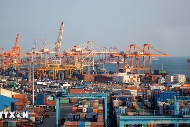 Cảng hàng hóa Busan, Hàn Quốc. (Ảnh: THX/TTXVN)