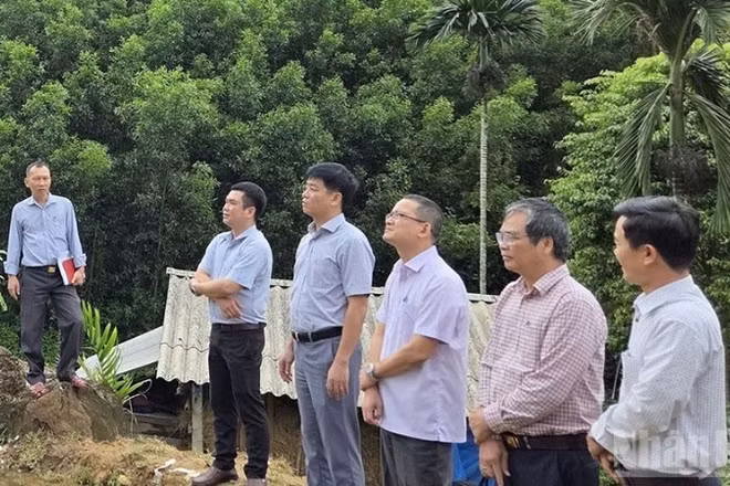 Phó Chủ tịch Ủy ban nhân dân tỉnh Quảng Ngãi Đỗ Tâm Hiển cùng lãnh đạo các sở, ngành chức năng kiểm tra khu vực có nguy cơ sạt lở núi tại thôn Ba Lang, xã Ba Vinh.