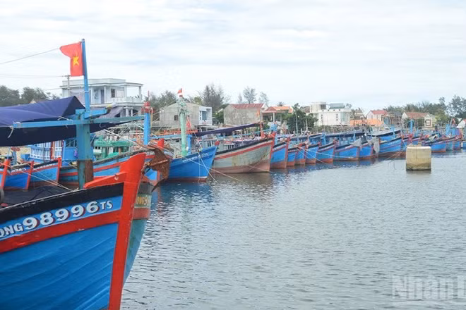 Tàu cá của ngư dân Quảng Ngãi (Ảnh minh họa).