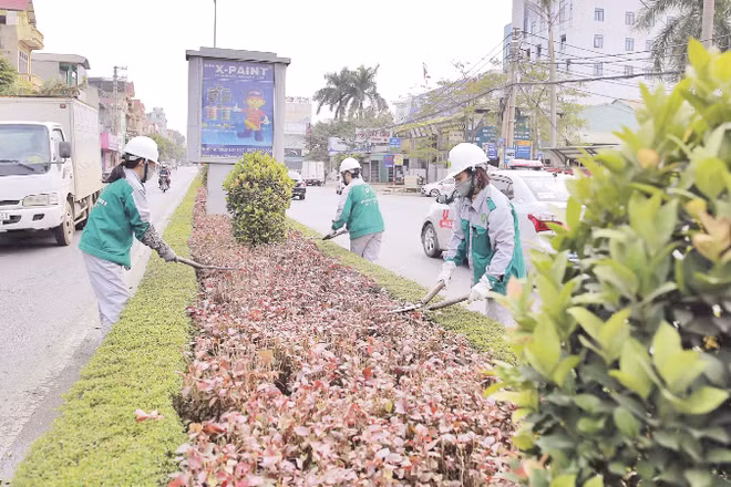 Nhân viên Công ty cổ phần Môi trường và Công trình đô thị Phúc Yên chăm sóc cây hoa đường phố.