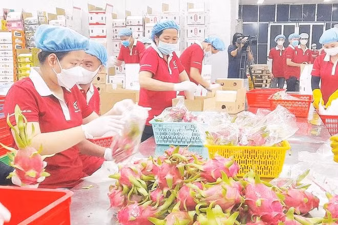 Doanh nghiệp mong muốn tỉnh Tây Ninh tiếp tục đẩy mạnh cải cách theo hướng đồng bộ, minh bạch, tạo động lực đóng góp vào mục tiêu tăng trưởng kinh tế hai con số.
