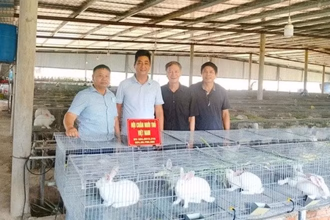 Hội Chăn nuôi Thỏ Việt Nam thăm mô hình nuôi thỏ thương phẩm của anh Phan Hồng Đức tại Đắk Lắk.