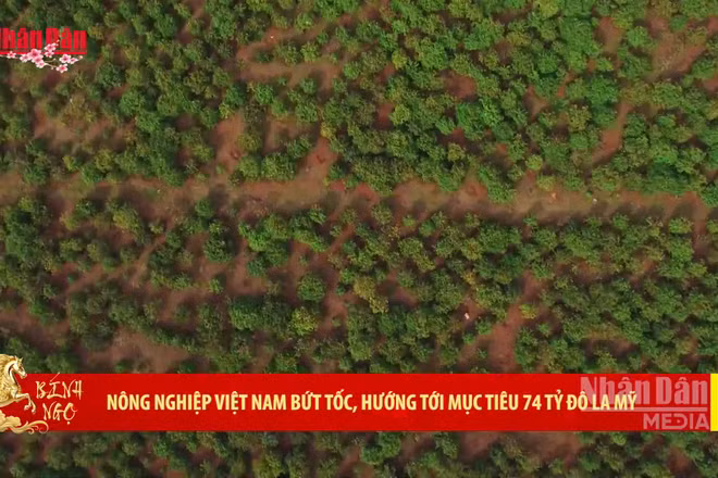 [Video] Nông nghiệp Việt Nam bứt tốc, hướng tới mục tiêu 74 tỷ Đô la Mỹ