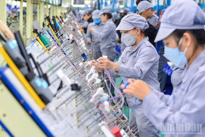 Doanh nghiệp Việt Nam đang từng bước chuyển đổi theo hướng xanh hơn, số hóa sâu hơn. (Ảnh THÀNH ĐẠT)