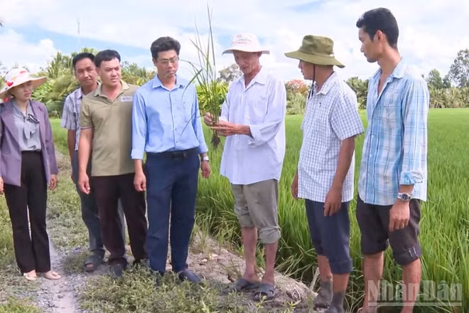 Khoa học và công nghệ giúp nâng cao năng suất, hướng đến nền nông nghiệp xanh và thích ứng với khí hậu.