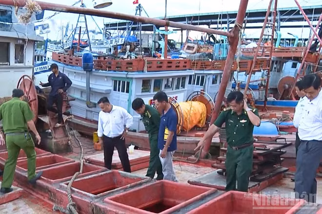 Lực lượng chức năng kiểm tra phương tiện khai thác thủy sản tại Cảng cá Trần Đề.