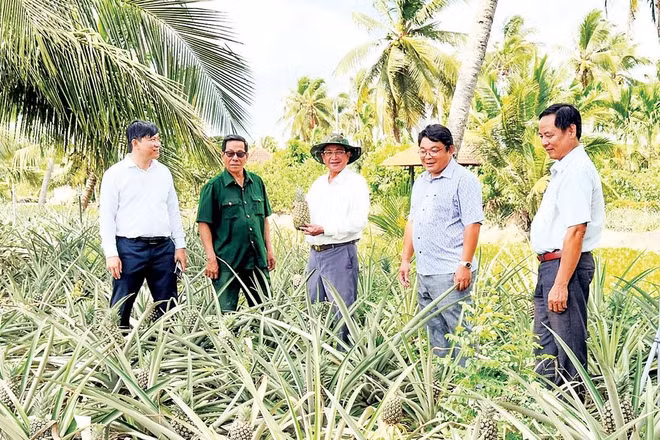 Lãnh đạo xã Hòa Bình thăm làng khóm Bưng Sẫm.