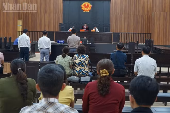 Hội đồng xét xử tuyên án.