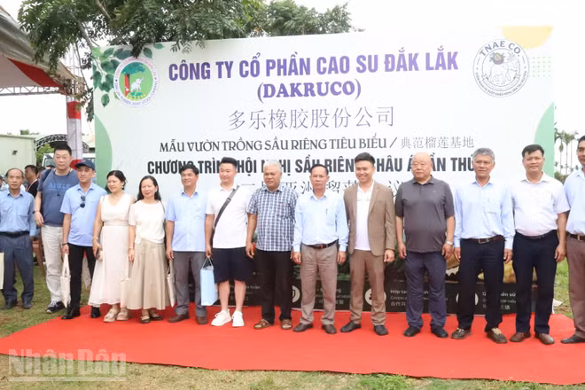 Đoàn doanh nghiệp quốc tế tham gia Hội nghị sầu riêng châu Á lần thứ 2 tại Thành phố Hồ Chí Minh đến khảo sát và trải nghiệm vườn trồng sầu riêng của Dakruco.