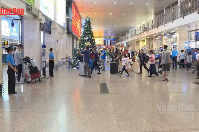 [Video] Nhu cầu vận tải hàng không dịp Tết Nguyên đán 2026 tăng cao