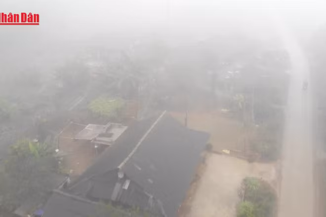 [Video] 15 tỉnh, thành phải ứng phó không khí lạnh gây rét đậm, rét hại 
