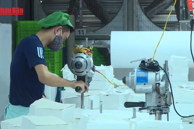 [Video] Hơn 61% người đề nghị hưởng trợ cấp thất nghiệp không có bằng cấp, chứng chỉ