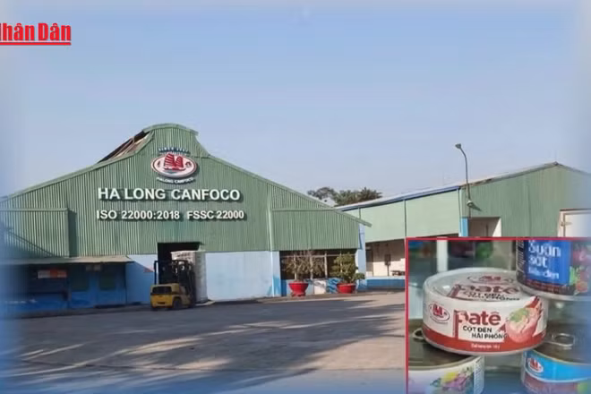 [Video] Bắt khẩn cấp Tổng Giám đốc Công ty CP Đồ hộp Hạ Long 