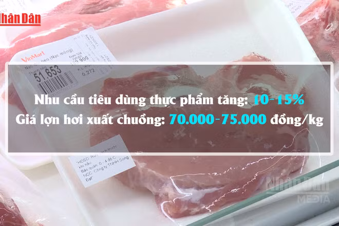 [Video] Dự báo giá lợn hơi dịp Tết quanh mức 70.000-75.000 đồng/kg