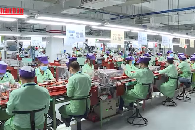 [Video] Tăng lương, thêm đãi ngộ để hút lao động đầu năm