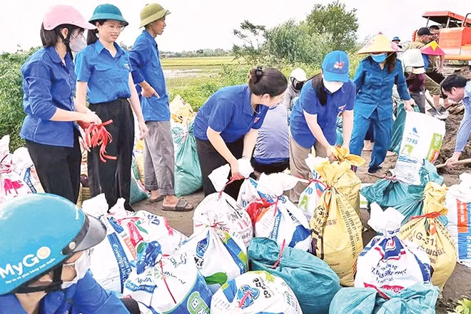 Đoàn viên, thanh niên tình nguyện xã Nam Phù cùng lực lượng chức năng và người dân đắp bao tải cát chắn nước từ sông Hồng tràn vào các thôn.
