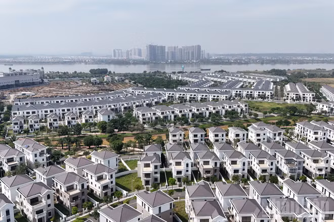 Một dự án nhà ở ven sông Đồng Nai đang được hình thành.