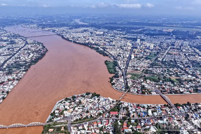 Sông Đồng Nai nhuộm màu phù sa mùa nước lũ.