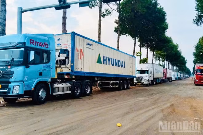 Xe container đậu tràn vào Khu trung tâm hành chính phường Dầu Giây.