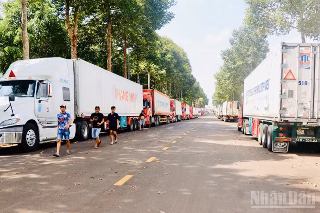 Xe container đỗ tràn vào khu vực trung tâm hành chính phường Dầu Giây.