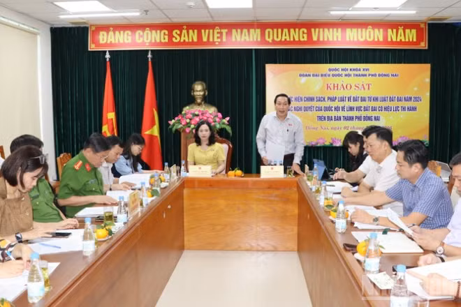 Quang cảnh buổi khảo sát.