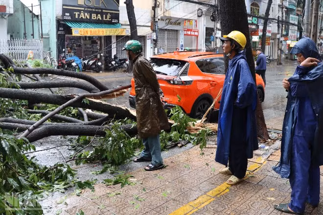 Một trận mưa lớn kèm lốc gây đổ cây xanh năm 2025 ở phường Trấn Biên, thành phố Đồng Nai.