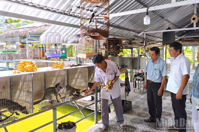 Trong giai đoạn mới, Cà Mau tập trung nguồn lực để hỗ trợ theo cách "trao cần câu cơm" giúp giảm nghèo bền vững.