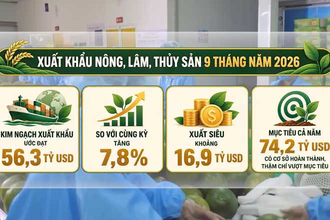 [Video] Phó Thủ tướng: Không để sản xuất nông sản xong mới đi tìm thị trường